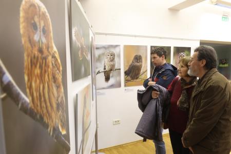OTVORITEV RAZSTAVE ZORANA VIDRIHA 04 FOTO LJUBO VUKELIČ